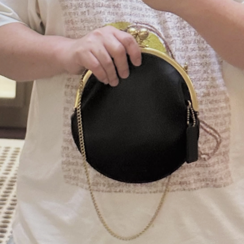 Kisslock Pouch 20cm Clutch Cli – обзор и цена Luxury Bags Outlet